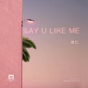 Say u like me