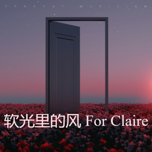 软光里的风