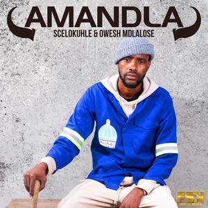 Amandla (feat. Scelokuhle Rsa & Owesh Mdlalose) (Explicit)