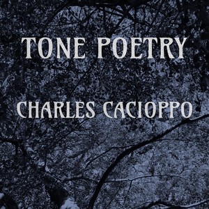 Tone Poetry (feat. Chris Aiello, Steven Kirsty, Daniel Duke & Nic Cacioppo)