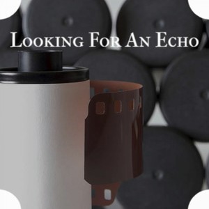 Looking For An Echo