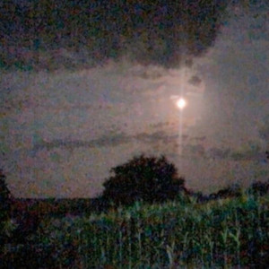 Nigdy nie śpie (Explicit)