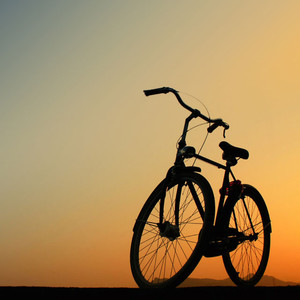 想你的时候问月亮