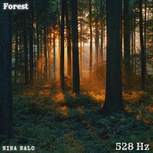 Forest 528 Hz (feat. Sensory Meditation, Alma Lin, Flame Timo & Jasper Whisper)