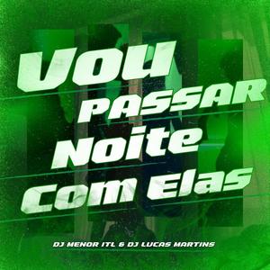 Vou Passar Noite Com Elas (feat. Dj Lucas Martins) (Explicit)