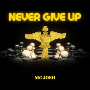 Never Give up