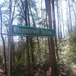 Whippoorwill Hollow Road