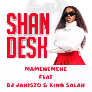 Shandesh Mamenemene (feat. Shandesh Music, DJ Janisto & King Salah|Radio Edit)