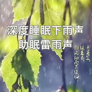 深度睡眠下雨声丨助眠雷雨声