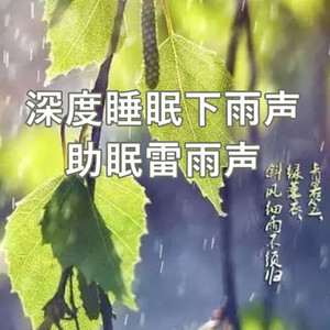 动听音乐酷 - 听夜雨  温和舒适的夜晚雨声 白噪音