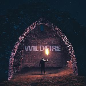 Wildfire