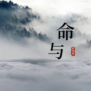命与