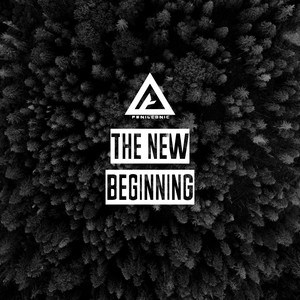 The New Beginning