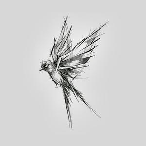 Chieu dong dan buong (Explicit)