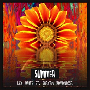 Summer (feat. Shayan Ravanassa)