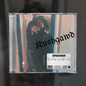 I Ain't Coming Down (feat. D-Roc) (Explicit)