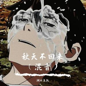 秋天不回来（混音）