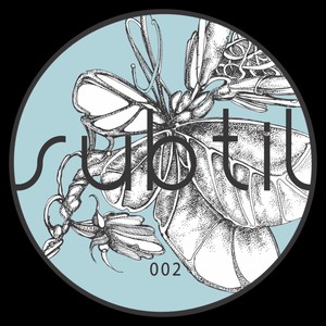 ReRauwm (Ion Ludwig's Raum Und Klangzeit Remix)