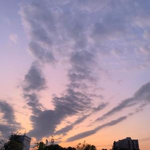 徐海样-JAEFOREAL-追梦的蚂蚁 (remix|徐海洋/安景召 remix|徐海洋 remix)