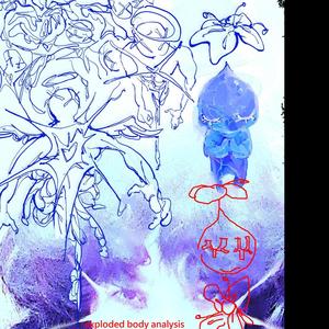 exploded body analysis