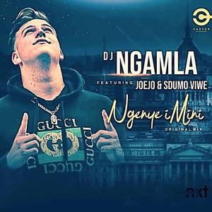 Ngenye Imini(feat. Joejo & Sdumo Viwe)