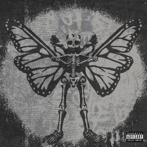 Metamorphosis (Explicit)