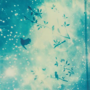 Not Like This(feat. Evan Kunze & Elizabeth Wolfe)