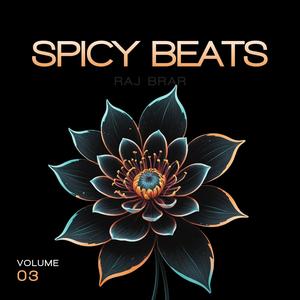 Spicy Beats (feat. Raj Brar) (Explicit)