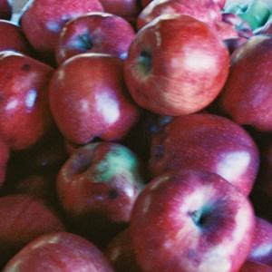 No Gravity (feat. IWANTMO) (Explicit)