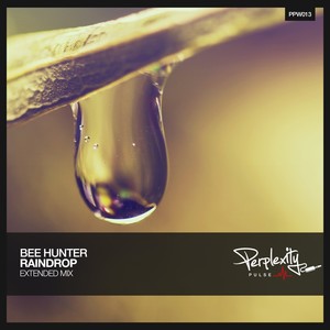 Raindrop (Extended Mix)