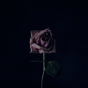 Love But Not Own (Prod.by 顺赢INKA)