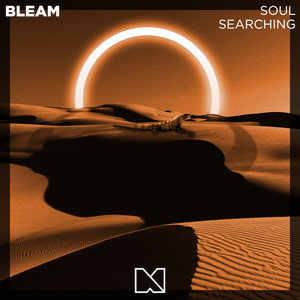 Soul Searching (Extended Mix)
