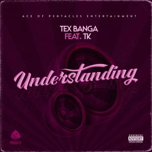 Understanding (feat. Terrell King) [Explicit]