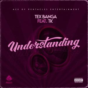 Understanding (feat. Terrell King) (Explicit)
