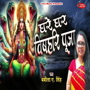 Ghare Ghare Bisahari Pooja