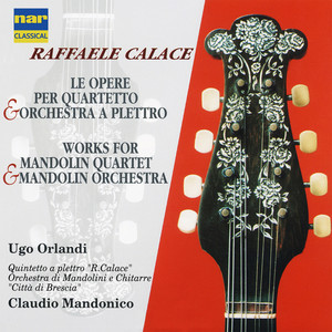 Concerto per mandolino e pianoforte in A Minor, Op. 144 - I. Allegro moderato