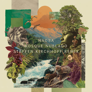 BOSQUE NUBLADO (Steffen Kirchhoff remix - Part I)