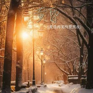黄昏(黄昏再美终要黑夜)