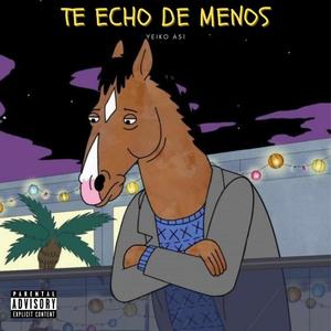 Te Echo De Menos
