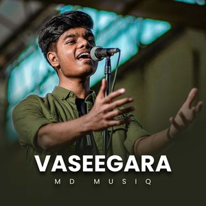 Vaseegara (Slowed Version)