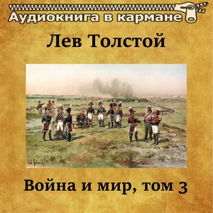 Война и мир, Том 3, Чт. 11