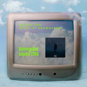 Renegade (feat. Dj Dicky & Shawnyboii) (Radio Edit)