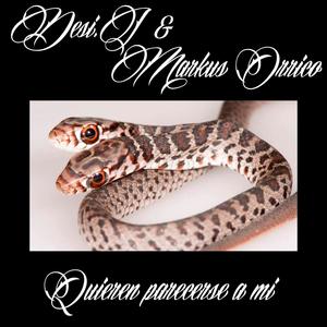 Quieren parecerse a mi (feat. Markus Orrico) (Explicit)