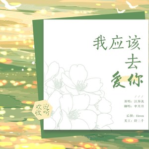 我应该去爱你
