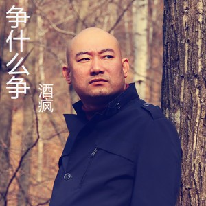 争什么争 (DJ版)