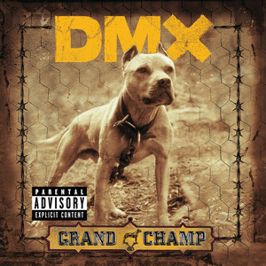 DMX - Don't Gotta Go Home (Album Version|Explicit)