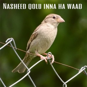 Nasheed qolu inna ha waad