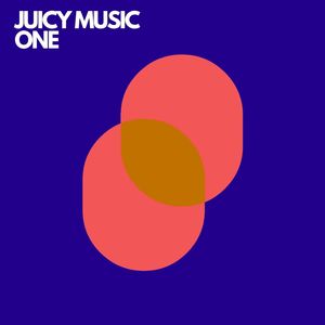 VUUR (Discoplex Remix)