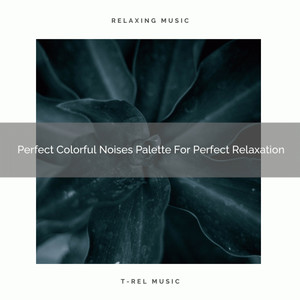 Perfect Colorful Noises Palette For Perfect Relaxation