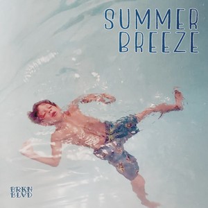 Summer Breeze